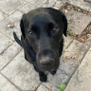 Meet your Posher, Annabel